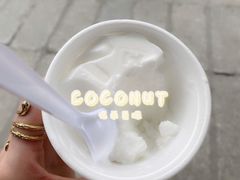 -洪馨椰子