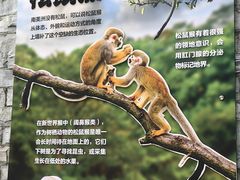 -成都动物园