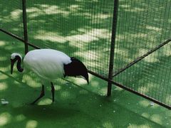 -常州淹城野生动物世界