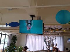 -BlueBubble蓝泡泡婴幼儿游泳会所(合川路店)