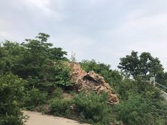 -富斯特索道