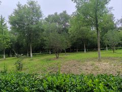-庄怡公园