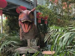 -沈阳植物园