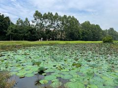 -南沙高尔夫球会