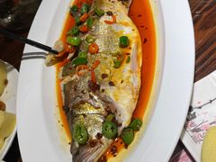 -七菜馆·东北菜·蒸饺(文体路店)