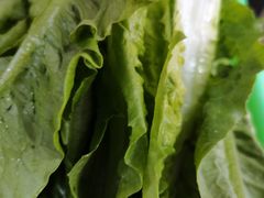 -清新一盅正宗清远鸡(环城路店)