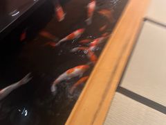 -月龍吟(朝龙汇店)