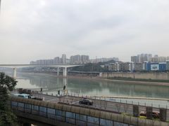 -李子坝梁山鸡(李子坝大鸡哥店)