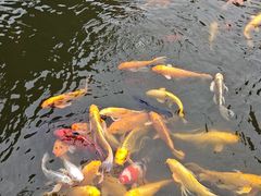 -成飞公园