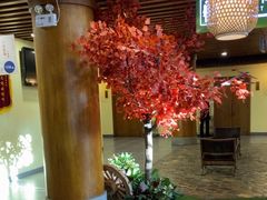 -胡杨记忆(和平路店)