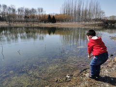 -大兴滨河森林公园