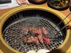 -虎哥六韩式烤肉料理 TIGERGRILL(隆生金山湖中心购物广场店)