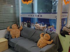 -芭比堂动物医院·心脏科·老年急重症·夜诊·吉雅分院