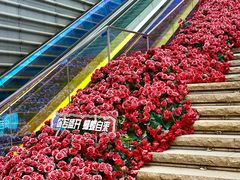 -万科生活广场(东莞松山湖店)