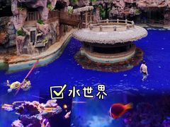 -长鹿旅游休博园