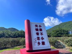 -亚龙湾国际玫瑰谷
