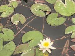 -韩湘水博园