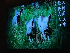 -乡里八闽·福州乡土菜(高宅店)