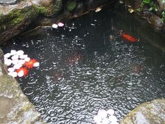 -寂照庵