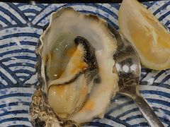 韩国黑钻生蚝刺身-帽帽家只卖生蚝·烧烤(沙湖路店)