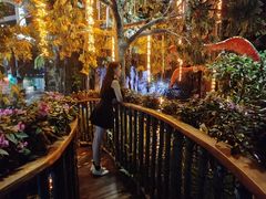 -正佳雨林生态植物园