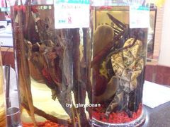 海岛渔村&nbsp;&nbsp;酒-海岛渔村大酒店(云霄路店)