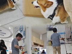 -美联众合动物医院·24h京西诊疗中心
