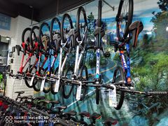 -GIANT捷安特自行车专卖店(金桥台儿庄路店)