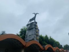 -成都动物园