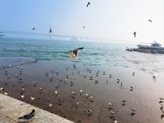 -星海广场