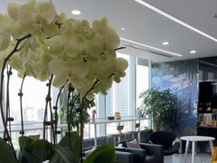 -马泷齿科·成都锦江置略马泷口腔门诊部(IFS国金中心店)