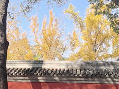-北京国子监胡同