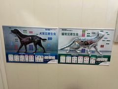 -瑞派康怡24h宠物医院·犬猫医疗中心·微创绝育(瑞景分院)