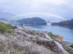 -广州市流溪河国家森林公园