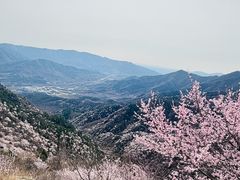 -北京鹫峰国家森林公园
