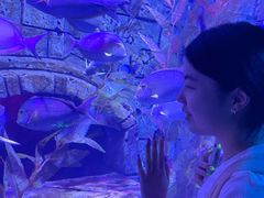 -哈尔滨波塞冬海底世界