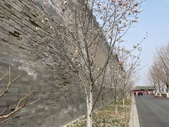 -东华门大街小区