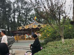 -成飞公园