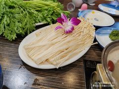 -蒙星月涮肚火锅城(宏运家园店)