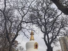 -护国法轮寺
