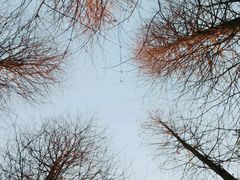 -艾溪湖湿地公园