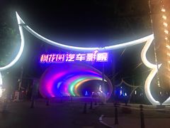 -枫花园汽车电影院(朝阳公园店)