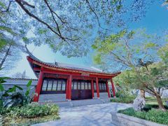 -顺峰山公园
