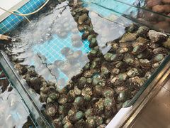 -渡海小渔村.老辈日照菜
