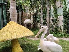 -正佳雨林生态植物园