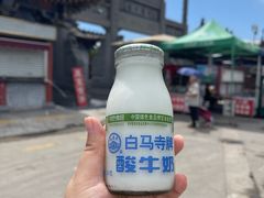 -洛阳白马寺