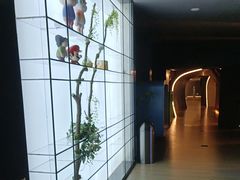 -浅水汤温泉(人民东路店)