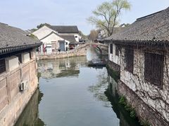 -鲁镇