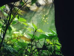 -尧治河旅游度假区