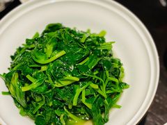 豌豆尖-甄御•海鲜新青岛菜(麦岛店)